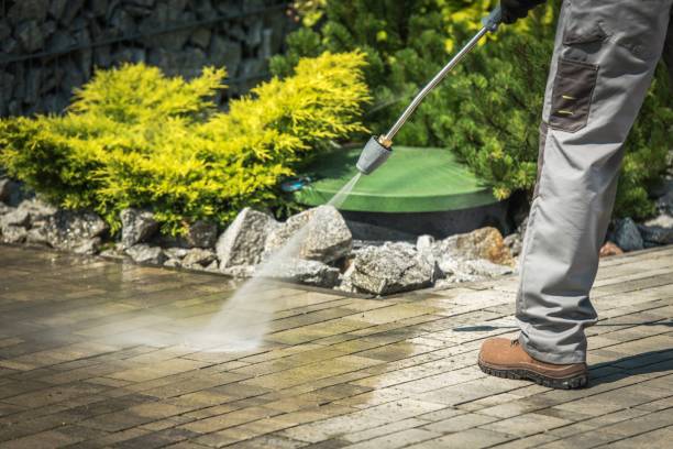 Professional Pressure Washing Services in Lochmoor Waterway Estates, FL