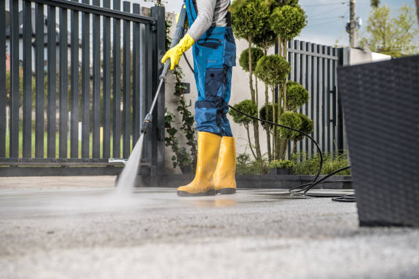 Best Gutter Cleaning  in Lochmoor Waterway Estates, FL